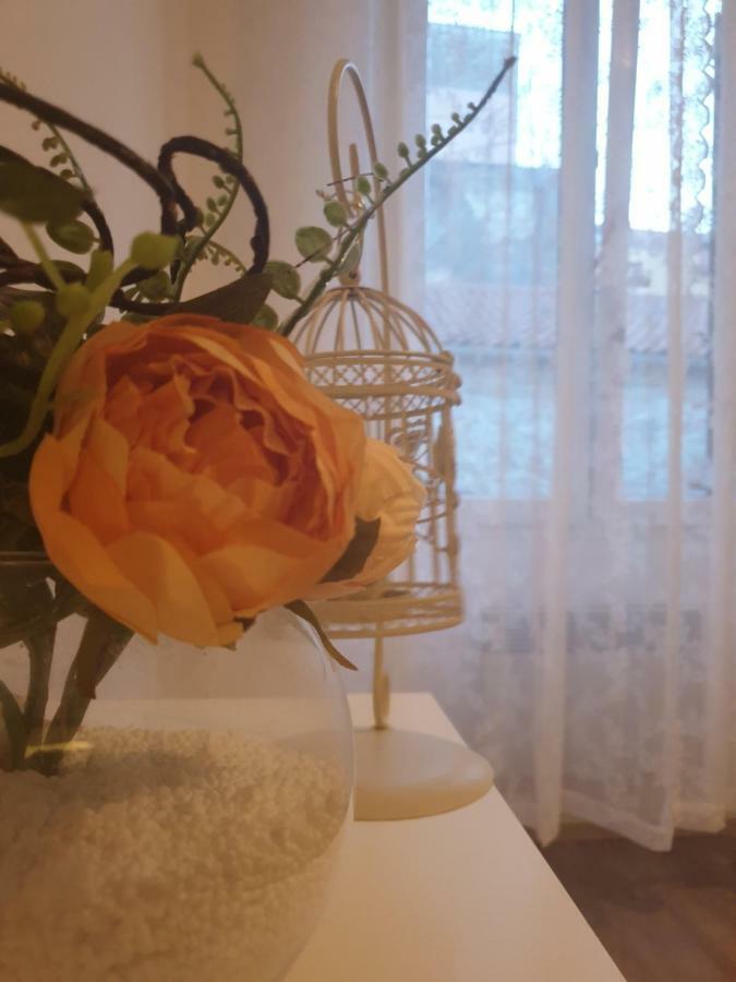 Stella Apartment Sibenik Charm&History United Zewnętrze zdjęcie