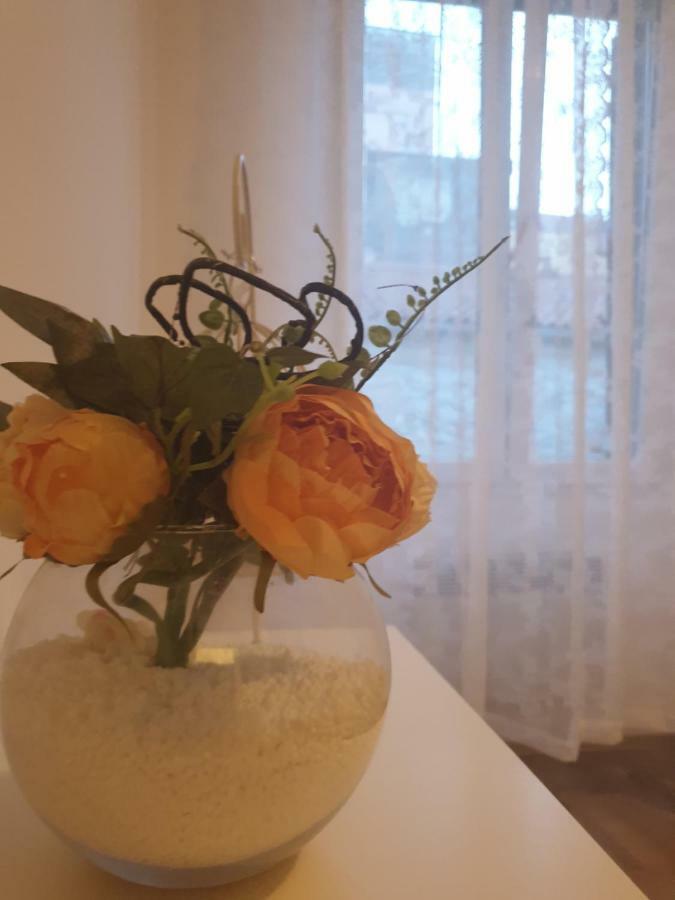 Stella Apartment Sibenik Charm&History United Zewnętrze zdjęcie